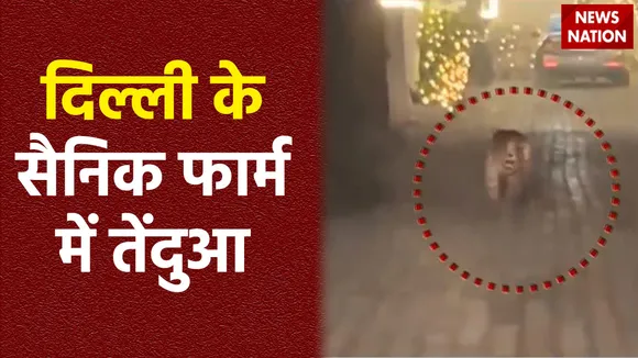 Delhi Breaking : Delhi के सैनिक फार्म इलाके में दिखा तेंदुआ