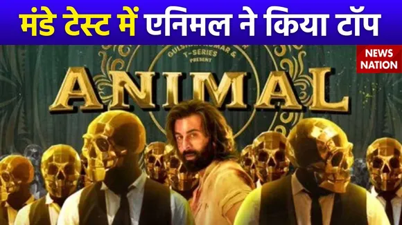 Animal Box Office Collection : बॉक्स ऑफिस पर धमाल मचा रही एनिमल