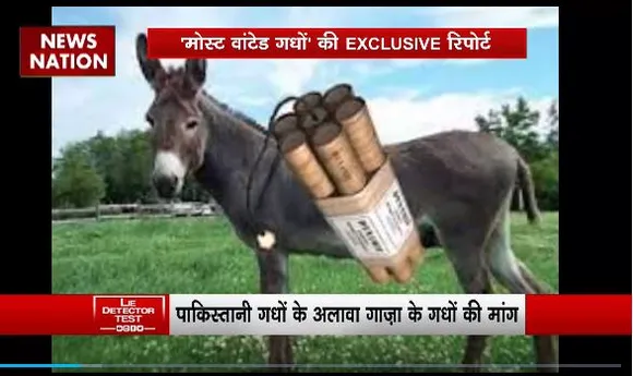 Lie Detector Test : क्या है Israel में गधा बम फोड़ने का सच?