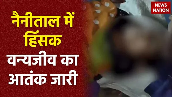 Uttarakhand News : Nainital में हिंसक वन्यजीव ने तीसरी युवती को बनाया निशाना