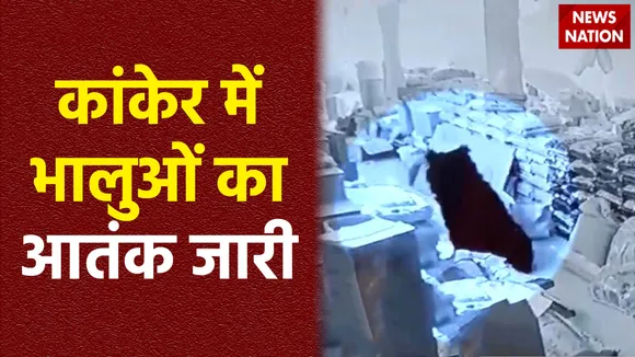 Chhattisgarh News : Kanker में रिहायशी इलाकों में खुलेआम घुमता दिखा भालू
