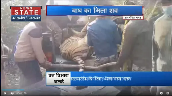 Uttarakhand News : Khatima में बाघ का शव मिलने से हड़कंप
