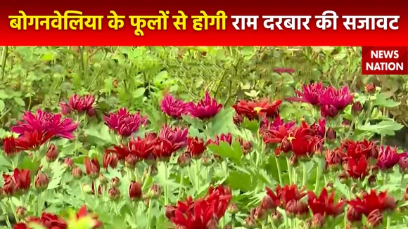 Ram Mandir Inauguration : रामलला की प्राण प्रतिष्ठा के लिए Bhopal से मंगाए गए विशेष फूल