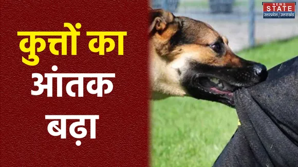 ऋषिकेश में कुत्ते का आतंक बढ़ा, 24 घंटे में 36 लोगों को बनाया निशाना, वन विभाग ने पकड़ा