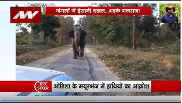 Super Sixer : Odisha के मयूरभंज में हाथियों का आतंक