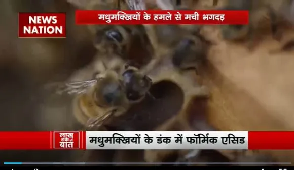 Lakh Take Ki Baat : मधुमक्खियों का काटना हो सकता है गंभीर