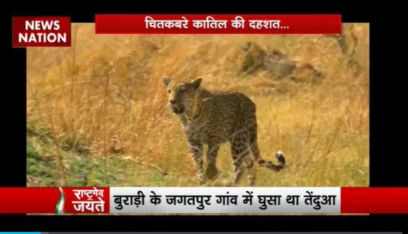 Rashtramev Jayate : Delhi के बुराड़ी में दिखा तेंदुआ