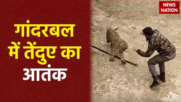 Jammu-Kashmir News : Jammu-Kashmir के गांदरबल में तेंदुए की दहशत