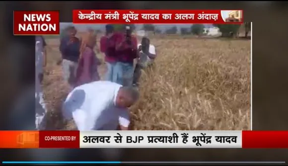 Bhupendra Yadav in Alwar : Alwar में खेतों में काम करते दिखे BJP प्रत्याशाी भूपेंद्र यादव