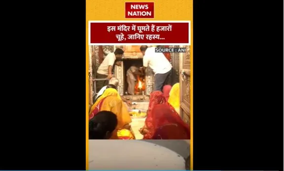 Karni Mata Mandir : इस मंदिर में घूमते है हजारों चूहें