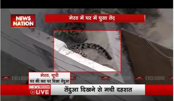 मेरठ में घर में घुसा तेंदुआ, छत पर जाकर बैठा, लोगों के बीच दहशत का माहौल