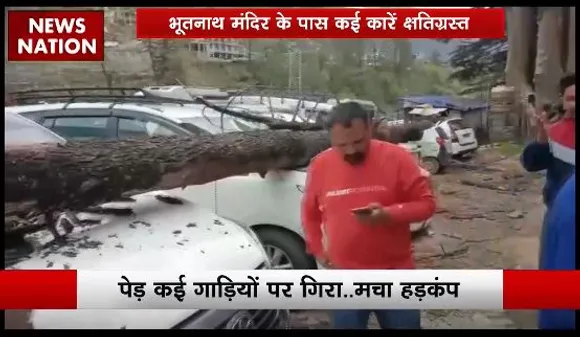 Rashtramev Jayate : Manali में तूफान की वजह से पेड़ गिरा