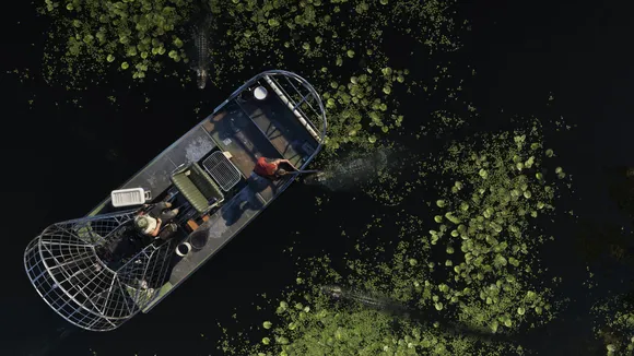 GTA 6