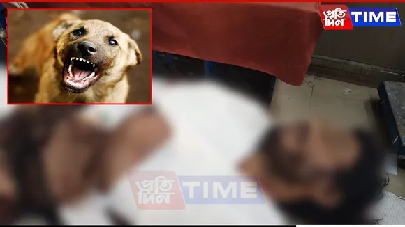 Dog Attack in jorhat