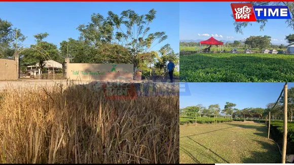 Tea Conclave at Folk Tea Festival to Address Climate Challenges in Assam’s Tea Industry