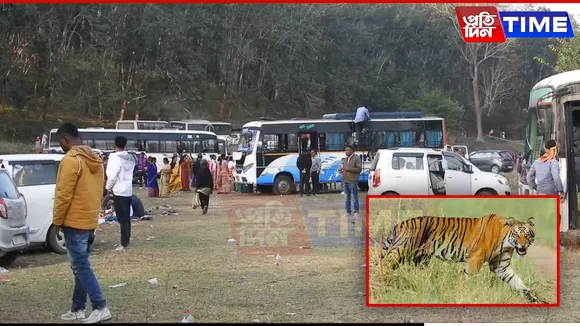 Tiger Fears Disrupt Picnic Plans in Nagaon’s Kaliabor