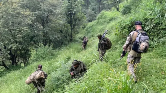 Arunachal: NSCN-K(YA) Militants Torch Machinery, Abduct 2 From Timber Mill