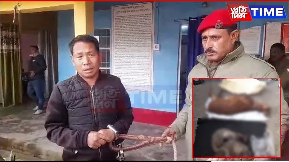 Arunachali Smuggler Apprehended with Endangered Wildlife in Assam