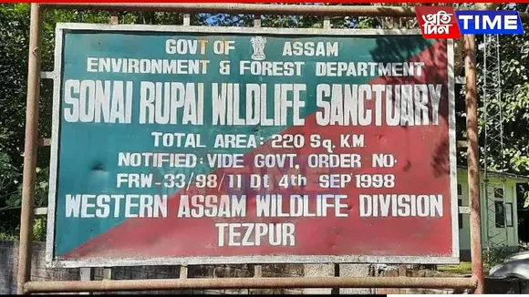 Gauhati HC Seeks Detailed Report on Encroachments in Sonai Rupai Sanctuary