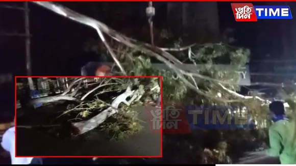 Guwahati: Rukminigaon’s Green Canopy Disappears Overnight for Flyover Expansion New