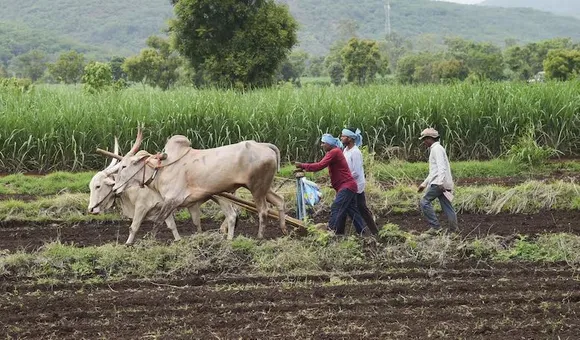 Retail Inflation Sees Marginal Decline For Farm And Rural Workers