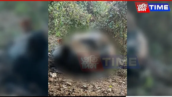 Pregnant Elephant Poached, Flesh Carved Off in Assam-Meghalaya Border Forest