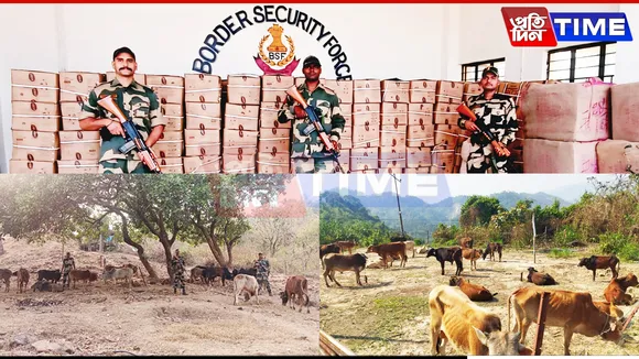 BSF Meghalaya Seizes Contraband Items and Rescues Cattle Along Indo-Bangladesh Border