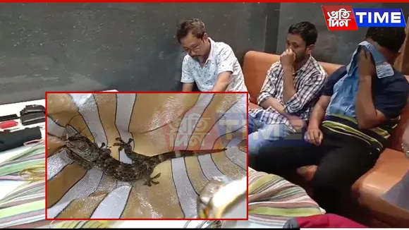 11 Tokay Geckos Seized in Assam's Dibrugarh