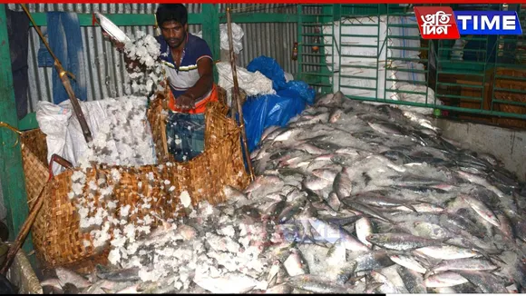 India Sees 17.8% Increase In Seafood Export In April Amid Global Uncertainty
