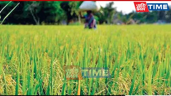 Centre Hikes MSP for 14 Kharif Crops for 2025-26, Highest Raise for Nigerseed