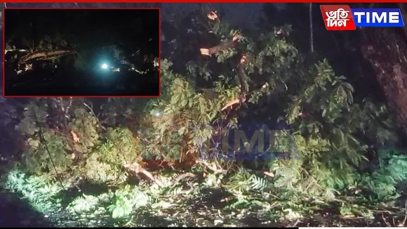 Tree Falls on Road in Kahilipara, Triggers Major Traffic Jam in Flood-Hit Guwahati