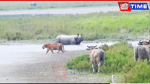 Kaziranga Ends Tourism Year with Historic Surge in Visitors and Earnings