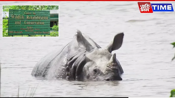 Kaziranga CWRC Gears Up for Wildlife Rescue Amid Rising Flood Threat in Assam