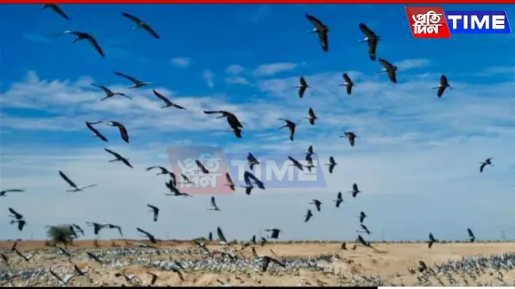 Rajasthan’s Two New Wetlands Boost India’s Ramsar Count to 91