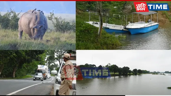 Assam Flood Update: Kaziranga Flood Spurs New Wildlife Safety Steps