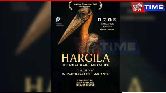 Hargila