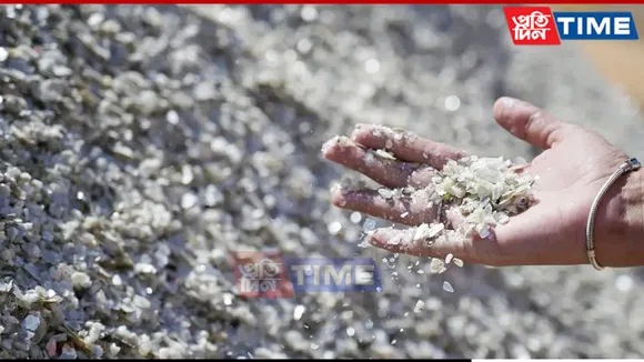 India, Central Asian Nations Eye Joint Rare Earth Exploration Amid China Export Curbs