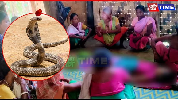 Faith Over Facts: 12-Year-Old Loses Life to Snakebite After Delay in Medical Treatment