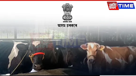 The Angst In Bongaigaon Over Govt Aid