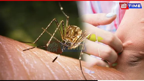 Japanese Encephalitis Continues To Spread: Five In Dhemaji Reported