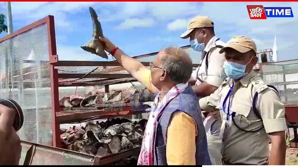 DNA Sampling of Rhino Horns Begins in Kaziranga for Forensic and Conservation Use
