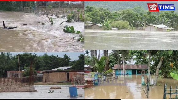 flood web