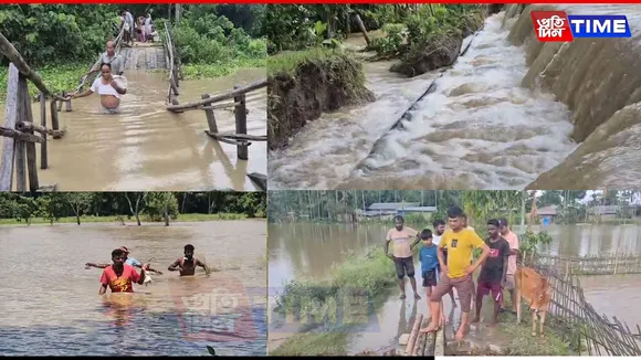 flood web