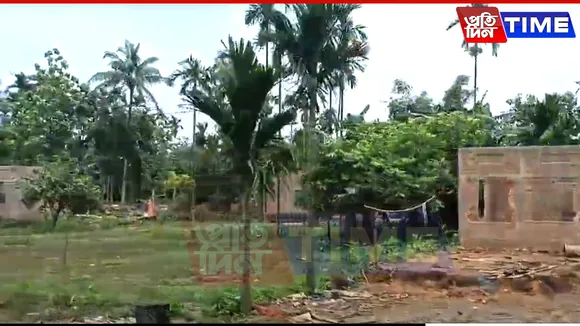 new pt web paikan