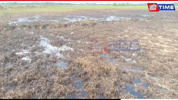 Assam: Crude Oil Leak from ONGC Pipeline Damages Farmland in Nazira