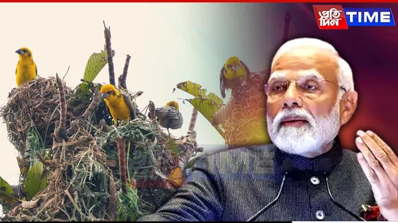 Kaziranga’s Bird Census Using AI Earns Praise from PM Modi