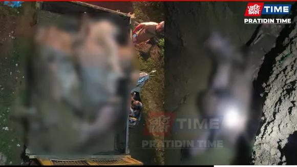 Swine Flu Outbreak Wreaks Havoc on Local Pig Farmers in Assam's Sivasagar