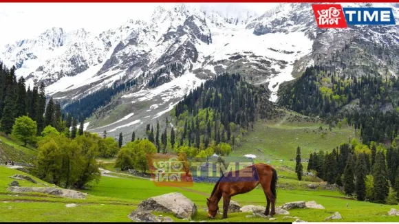 web-pt-3-2025-08-01-12-05-53