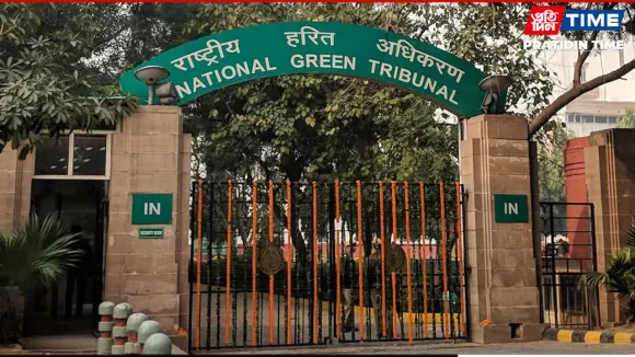 Odisha: NGT Orders Joint Committee Probe Into Illegal Mining Claims