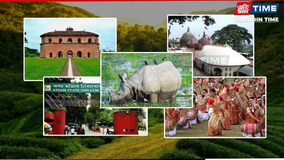 new pt web- assam